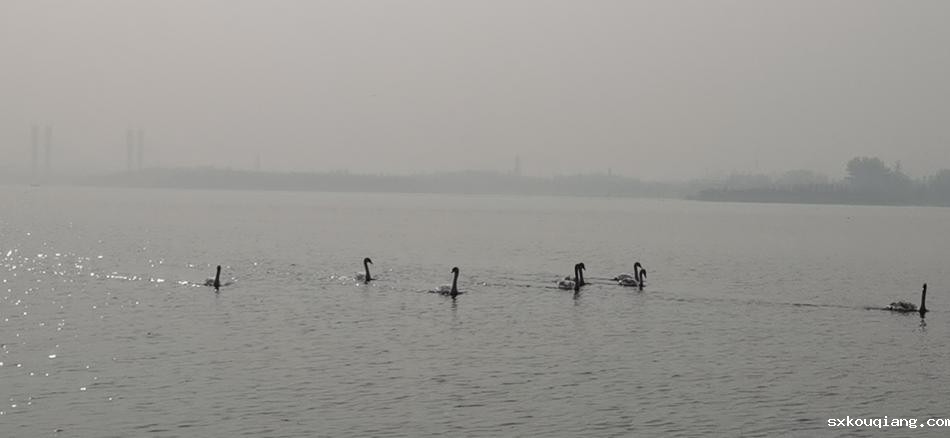 微信图片_20201116081903.jpg
